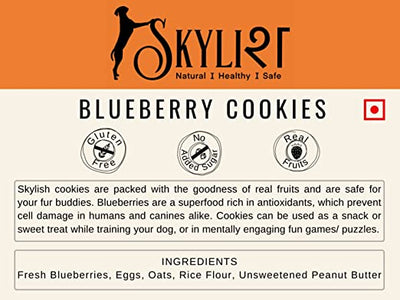 Blueberry Cookies, Made using Real Fruits, Gluten-Free, Human Friendly, No Preservatives